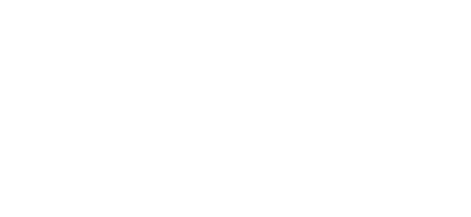 MADMAX